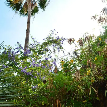 The Teides Window Swimming Pool La Ventana Del Teide Appartement *