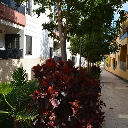 شقة The Teides Window Swimming Pool La Ventana Del Teide *