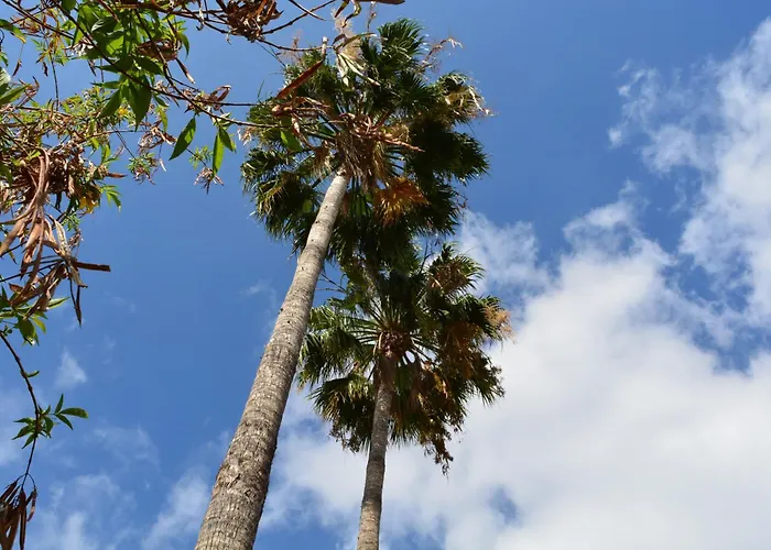 The Teides Window Swimming Pool La Ventana Del Teide *