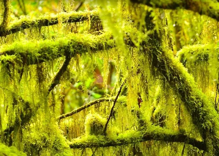 The Teides Window Swimming Pool La Ventana Del Teide 아파트 *