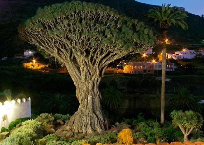 The Teides Window Swimming Pool La Ventana Del Teide Apartamento *