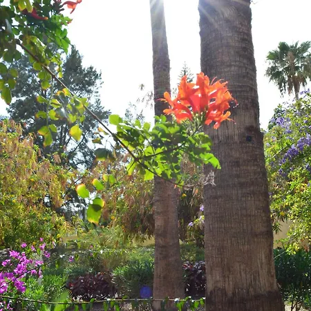 The Teides Window Swimming Pool La Ventana Del Teide