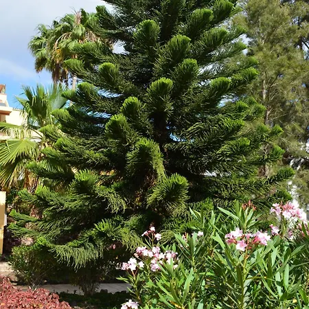 Apartament Vivienda Con Piscina, Solarium, Vistas Teide *