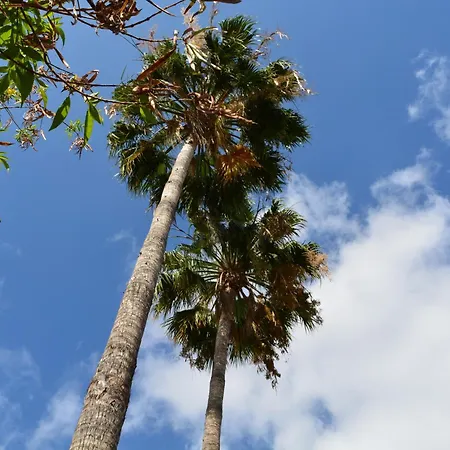 The Teides Window Swimming Pool La Ventana Del Teide *