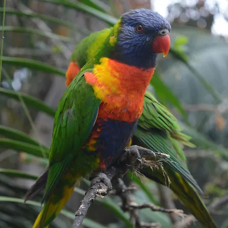 Apartament The Teides Window Swimming Pool La Ventana Del Teide *