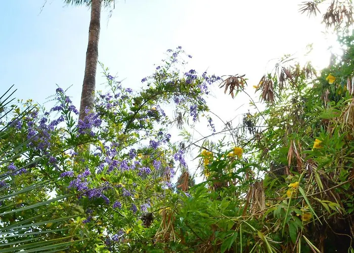 The Teides Window Swimming Pool La Ventana Del Teide Apartament *