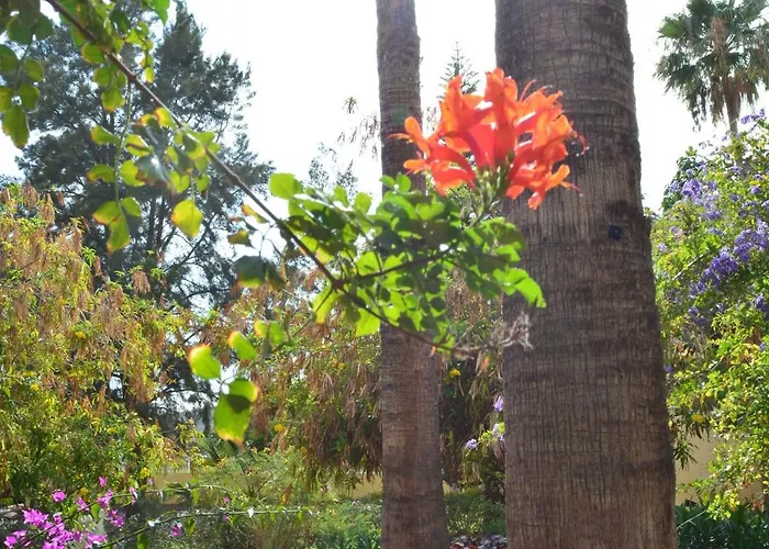 The Teides Window Swimming Pool La Ventana Del Teide