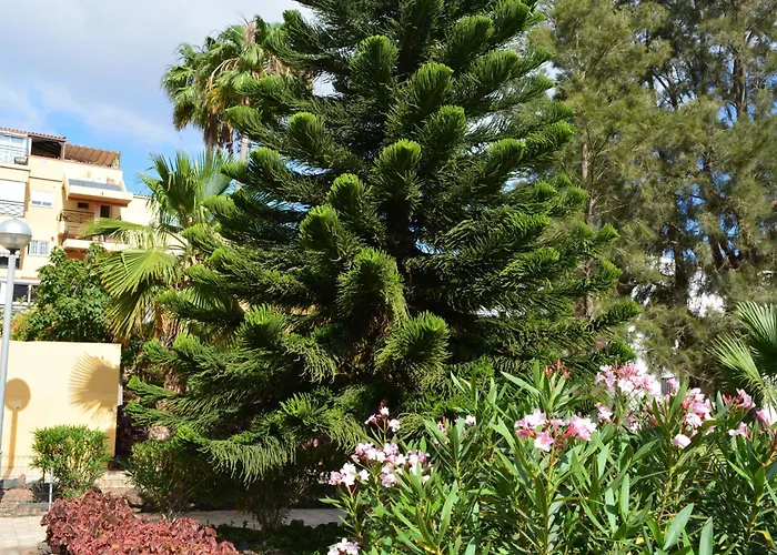 Apartament The Teides Window Swimming Pool La Ventana Del Teide *