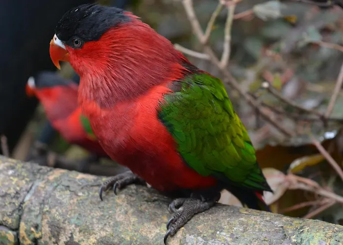 The Teides Window Swimming Pool La Ventana Del Teide Apartament Cho