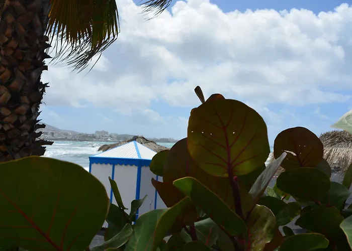 Apartament The Teides Window Swimming Pool La Ventana Del Teide Cho