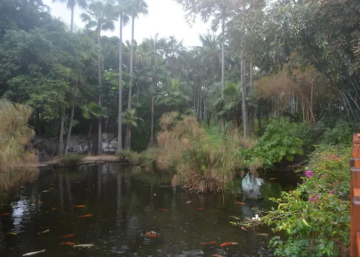 The Teides Window Swimming Pool La Ventana Del Teide Apartament