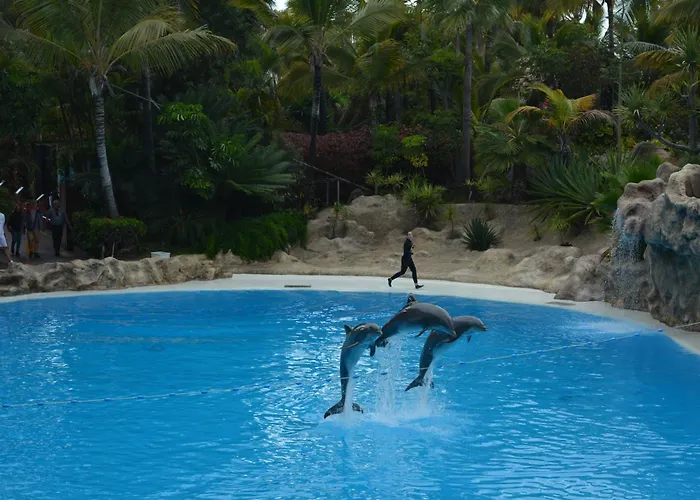 Apartament The Teides Window Swimming Pool La Ventana Del Teide *