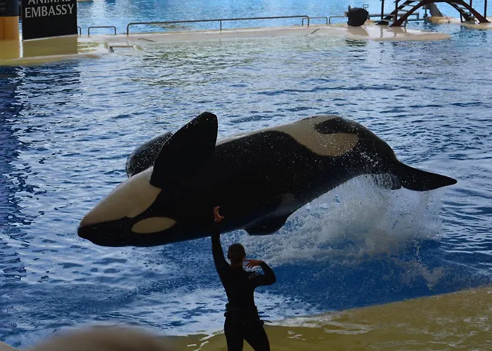Apartament The Teides Window Swimming Pool La Ventana Del Teide Cho