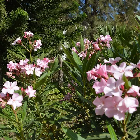 The Teides Window Swimming Pool La Ventana Del Teide